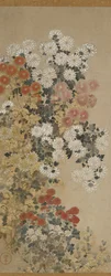Chrysanthemen